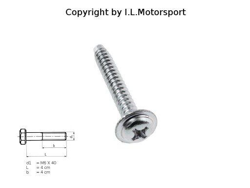 MX-5 Schraube Türgiff innen - selbstschneidend M6x40 Nr.75