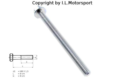 MX-5 Lichtmaschinenspannschraube oben