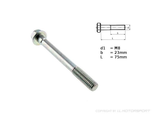 MX-5 Screw Nr.21