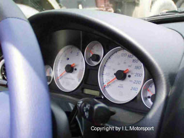 speedo gauges