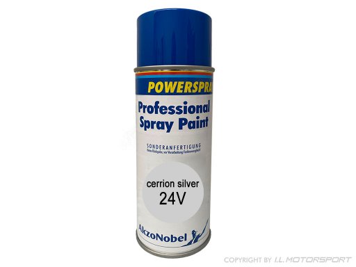 Spray Paint  24V   cerrion silver metallic