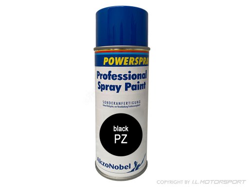 Spray Paint  PZ   Brillant black