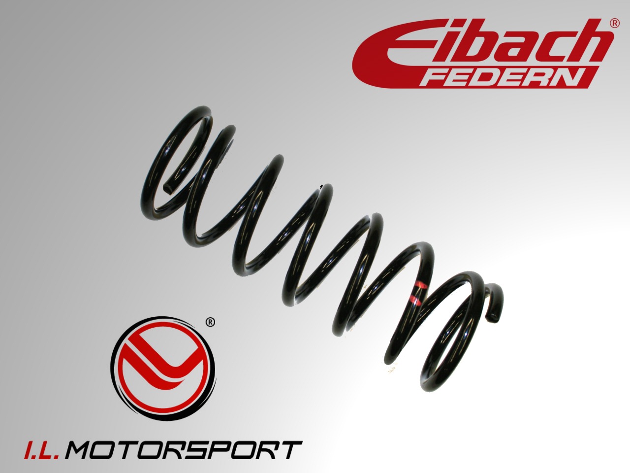 2x MONROE Fahrwerksfedern Für SUZUKI SX4 & FIAT Sedici